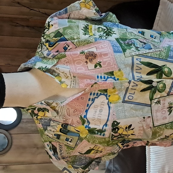 Jane and Delancey Frech Graphic Button Down Shirt Size S - Picture 2 of 9